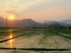 Na een lange afdaling Vietnam in, zonsondergang boven de rijstvelden