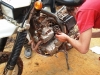 Panne. 60km zandpad vanaf dichtst bijzijnde dorp. Was ik ff blij dat ik vroeger zo veel aan de Honda brommers gesleuteld heb!