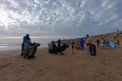 Kamelen op het strand in Tagazhoute