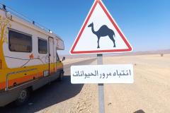 Oude camnepr bij verkersbord met kameel in de woestijn.