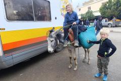 Dax en Jep met een muilezezel naast de camper