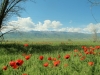 img_0731-640x427_0