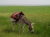 img_0866-640x427_0