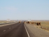 img_1061-640x416