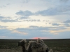 img_1218-427x640