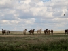 img_1273-640x427