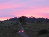 Mooi avondluchtje.