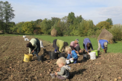 Schermafbeelding 2021-11-03 om 14.54.06