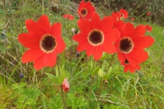 IMG-20250328-WA0018