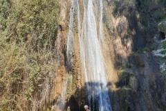 IMG-20250328-WA0020